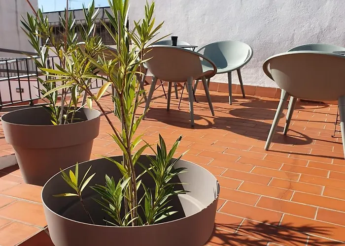 Guest house Alegoria Coliving Experience